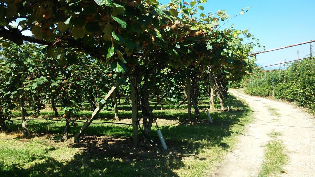 Agriturismo B&B Corte Tonolli 발레지오술민쵸 외부 사진